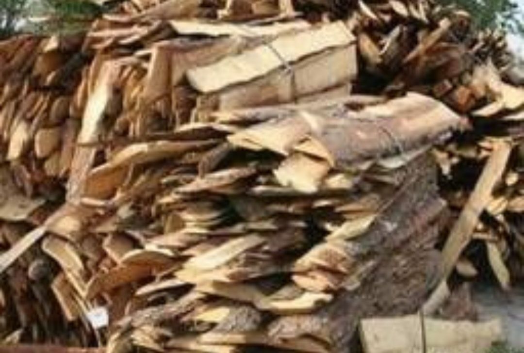 Продам дрова, обапол, обрізки 650 грн скл.м