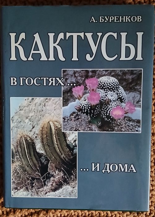 А Буренков Кактусів в гостях и дома Енциклопедія