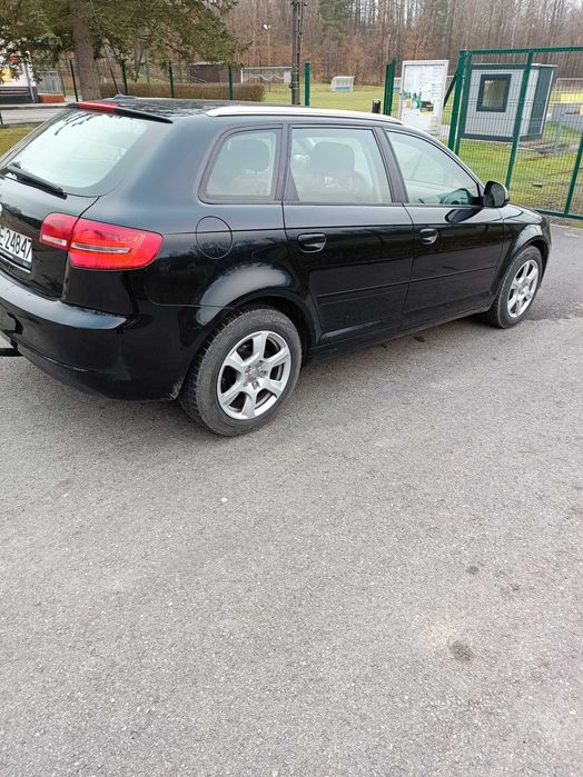 Audi A3 8P   1.9 tdi