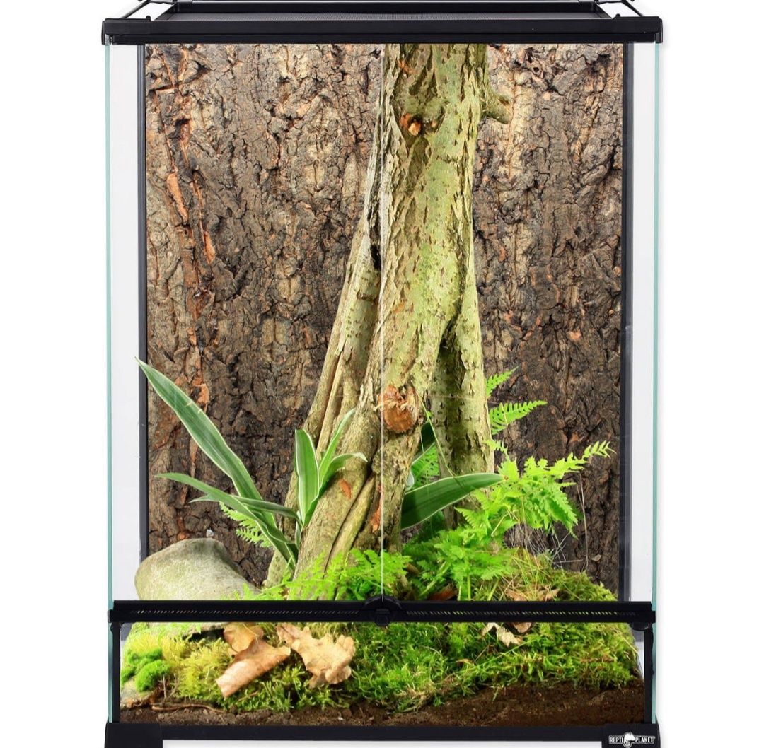 Terrarium ReptiPlanet 45x45x60