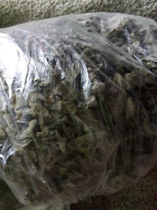 Suszone liście mięty (idealne na herbatę)