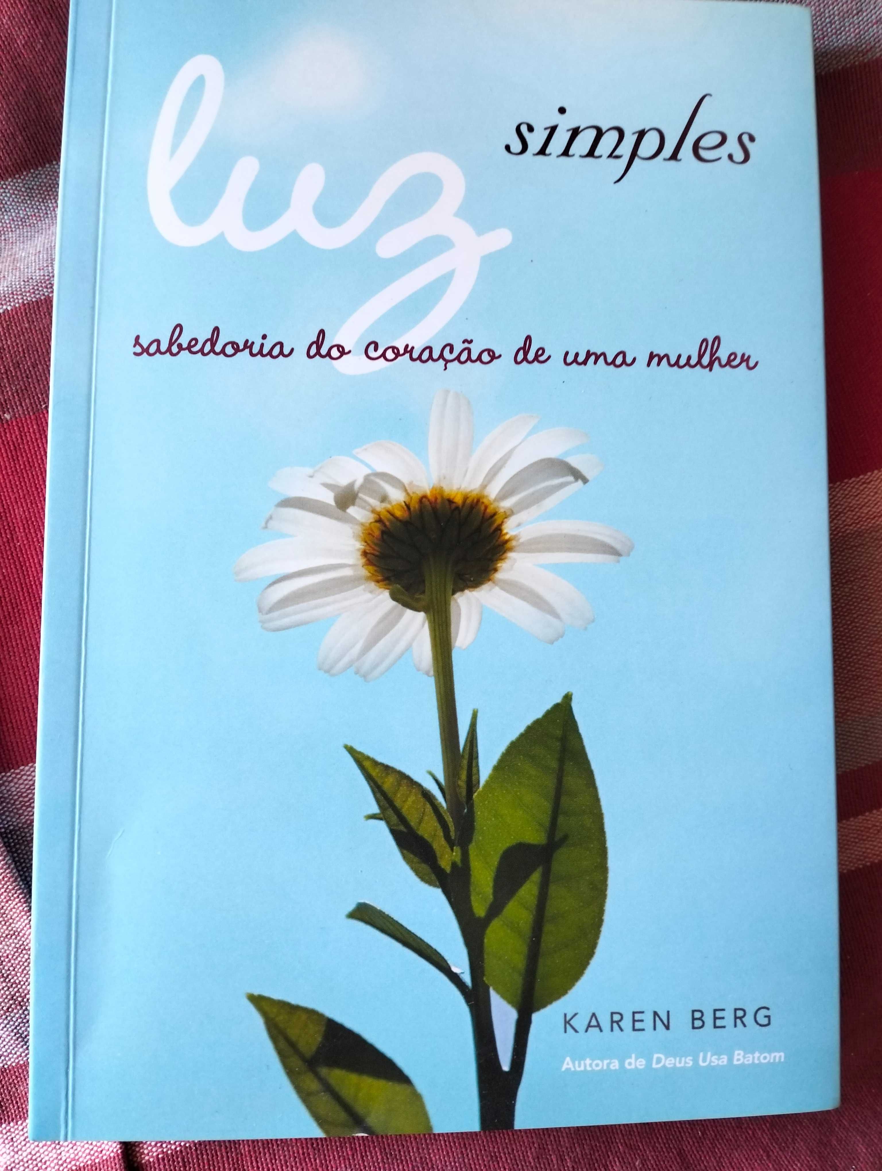 Livro: Luz Simples de Karen Berg