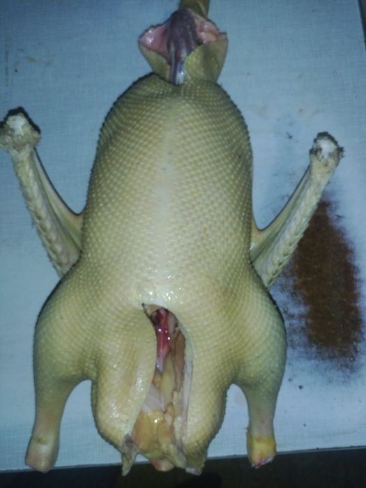 Gęsi oskubane i zabite tuszki gęsina