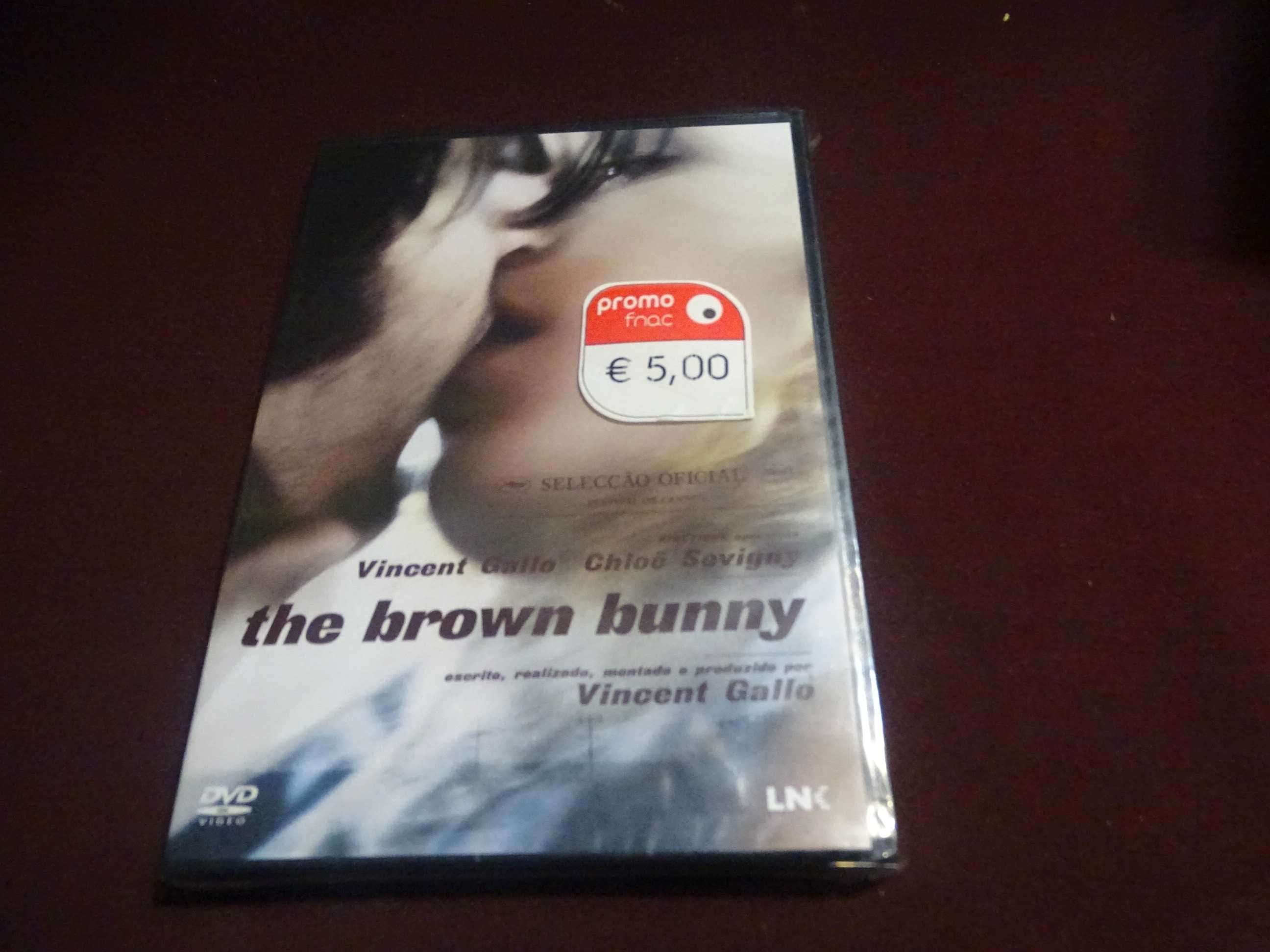 DVD-The brown bunny-Vincent Gallo-Selado