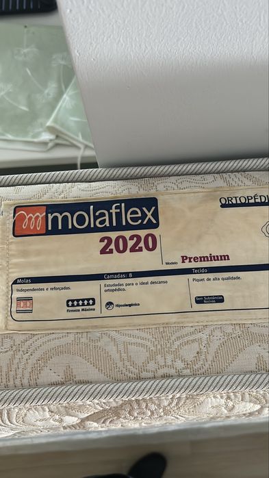 Colchão Molaflex 2020 ortopedico