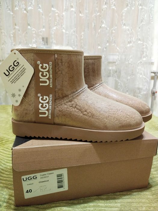 Ugg нові оригінал