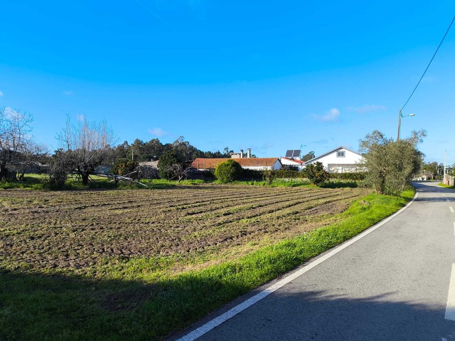 Terreno Rústico, Cantanhede