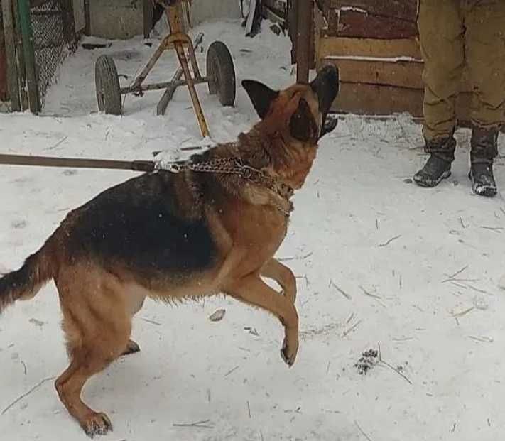 Супер классная девчонка.