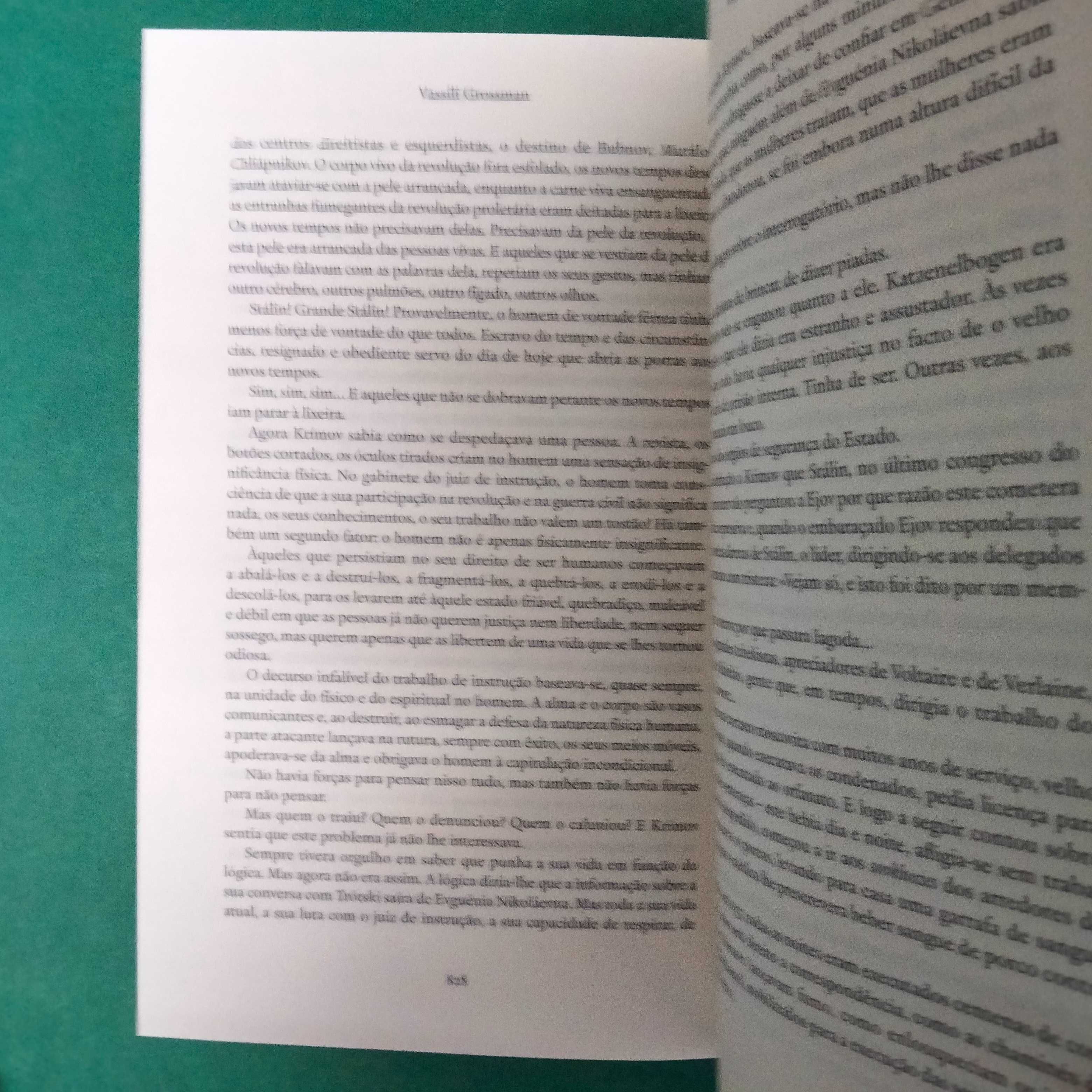 Vida e Destino - Vassili Grossman