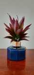 Plantas artificiais
