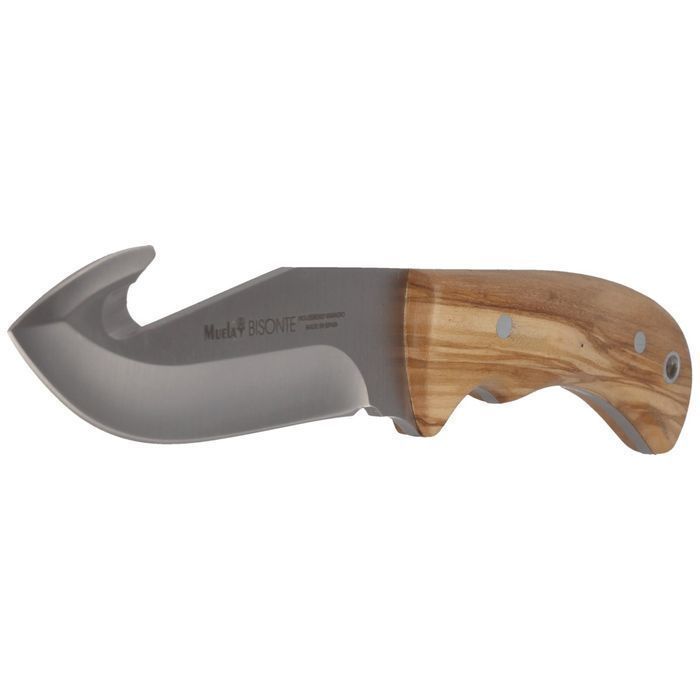 Nóż Muela Bisonte-11.OL Olive Wood, Satin X50CrMoV15
