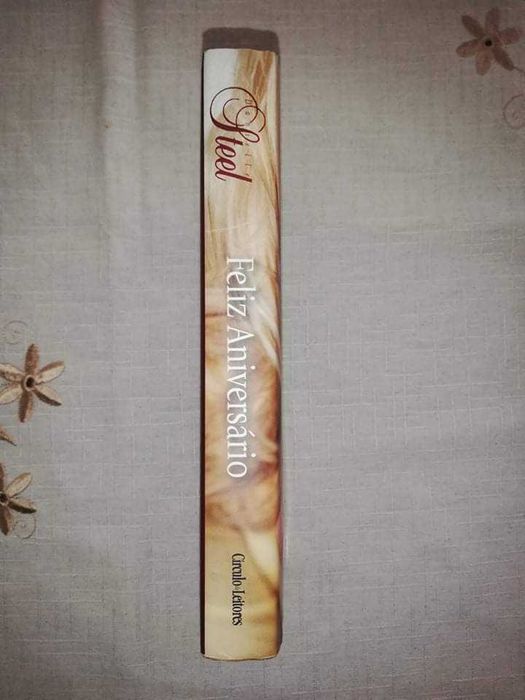 Vendo livro ( feliz aniversário Danielle Steel)