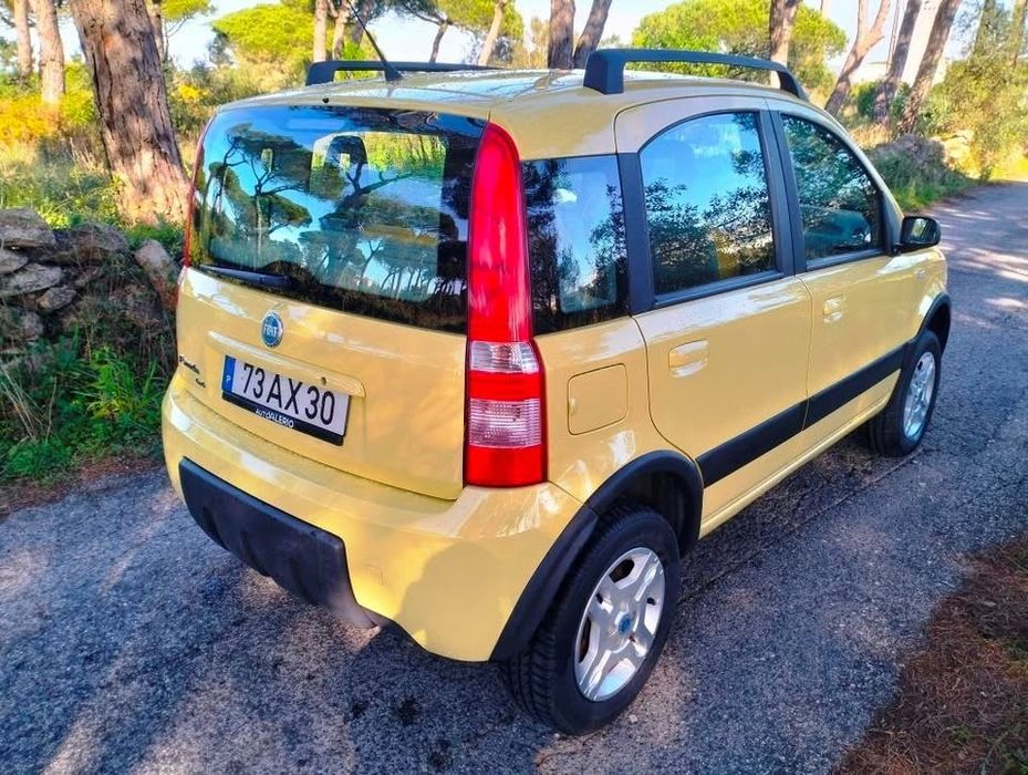 Fiat Panda 4x4 Climbing – 2005 – 170.000 km – 1.3 Multijet