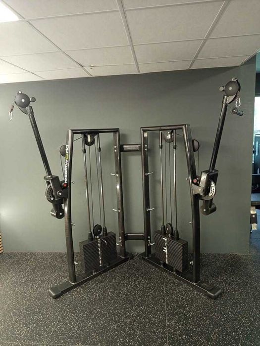 Crossover Polias Musculação