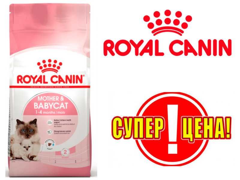 Royal Canin Mother & Babycat Корм для кошенят та кішок 10кг