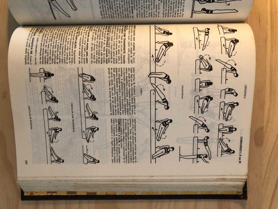 Dicionário Enciclopédia  com ilustrações desenhadas