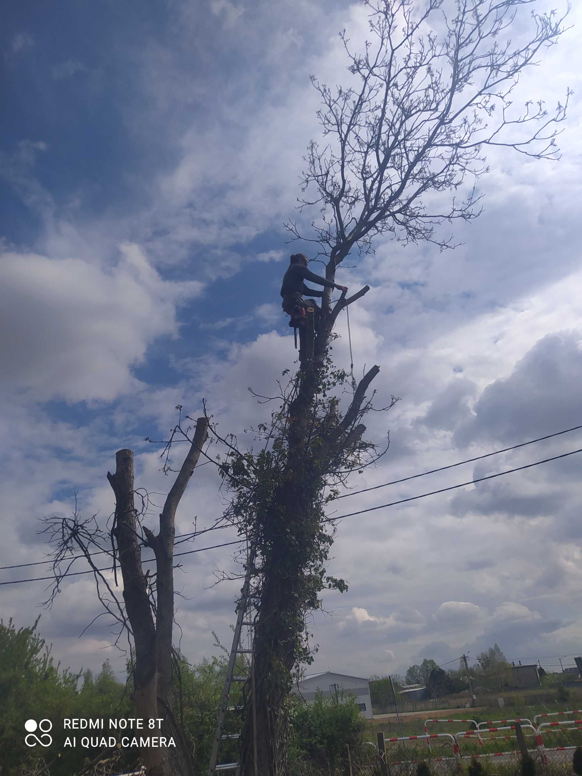 Wycinka drzew,  czyszczenie działek,rozdrabnianie gałęzi itp..