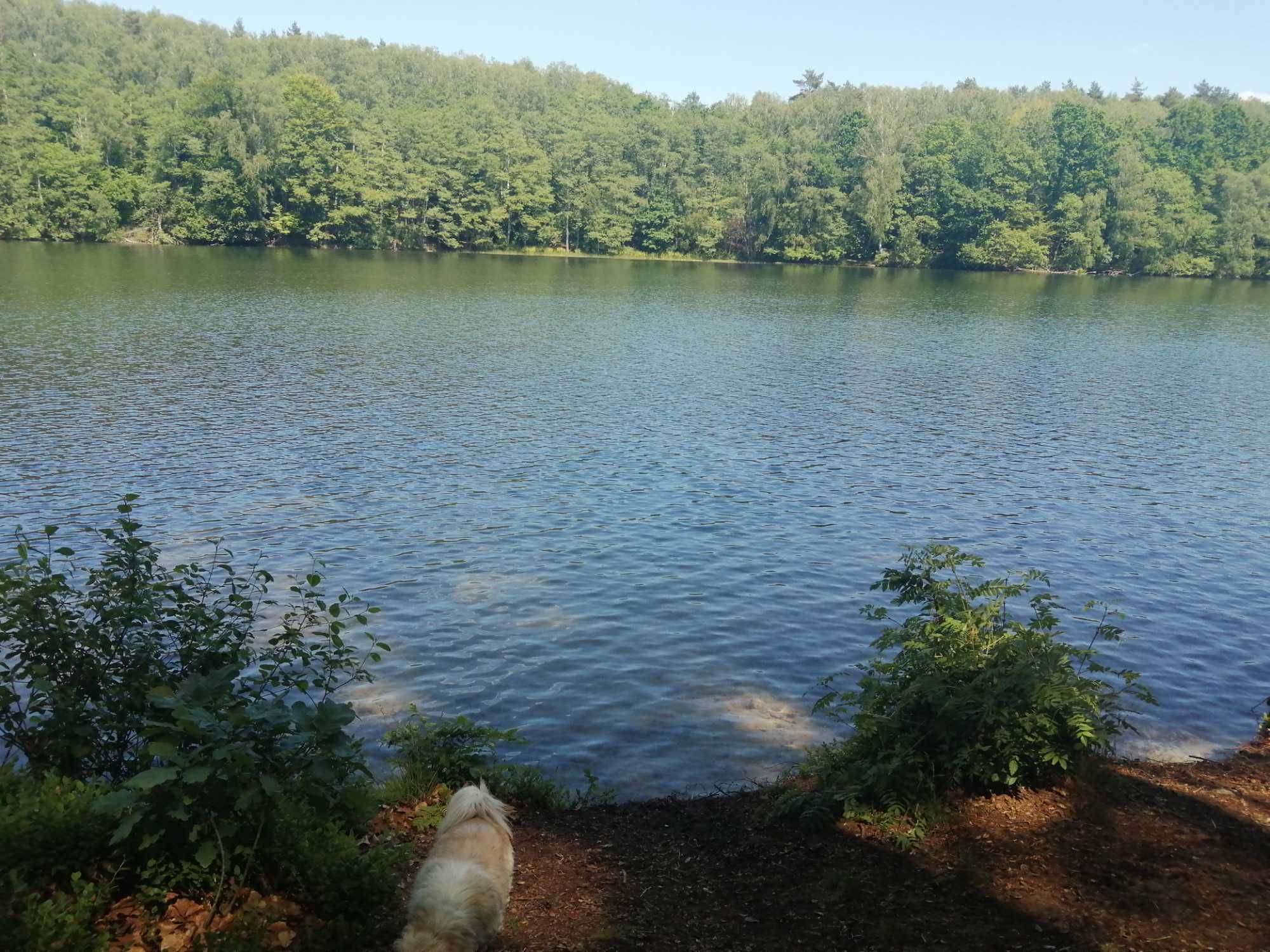 Domek letniskowy nad jeziorem