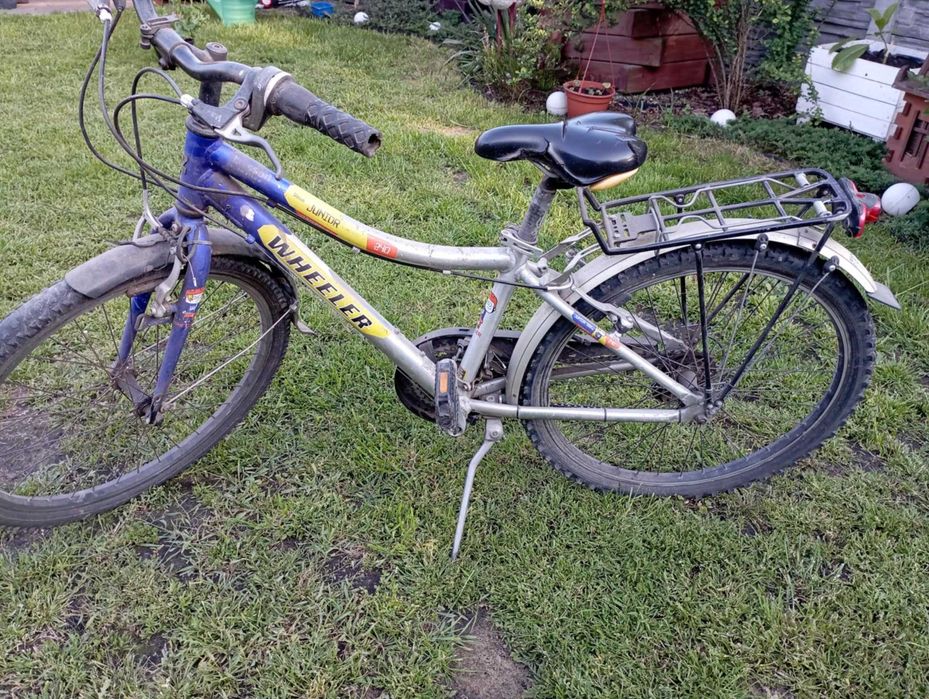 Rower dziecięco-młodzieżowy Wheeler Junior 24”