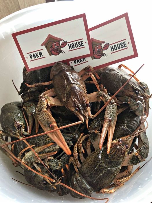 Живі та Варені Раки в Києві