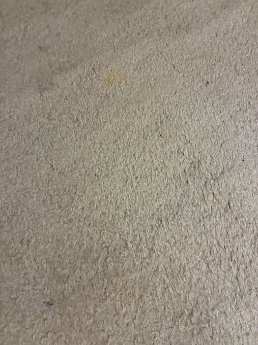 Tapete AREA STORE bege 170x240cm usado