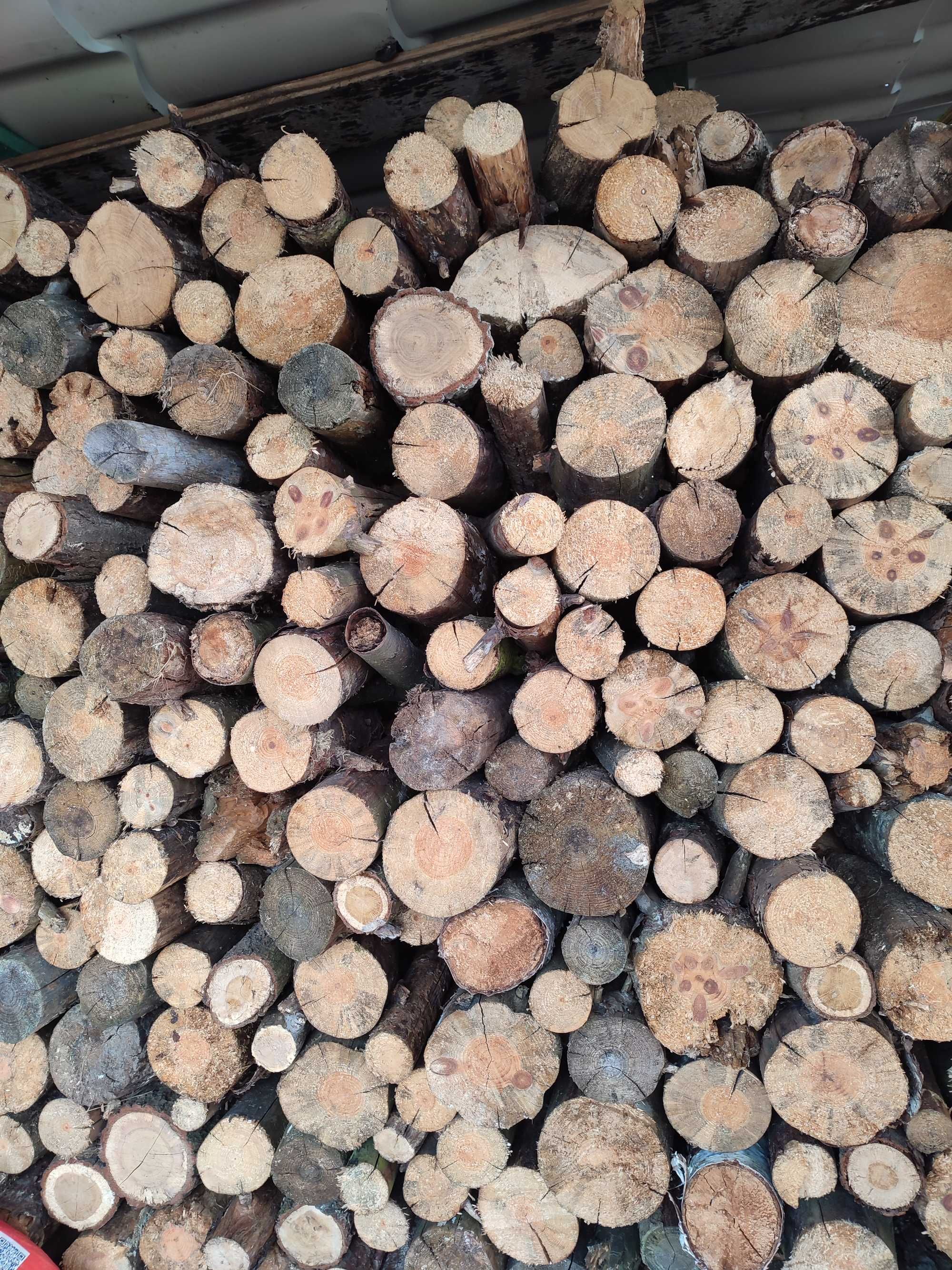 Drewno opałowe suche sezonowane sosna walki