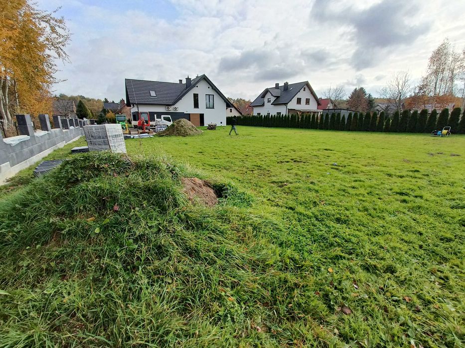 Zakładanie terenów zielonych oraz dachów zielonych