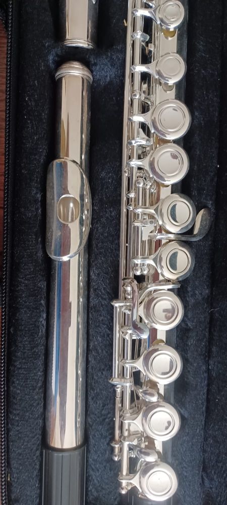 Vendo flauta transversal Monzani