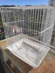 Gaiola para aves pequenas