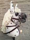 Hobby Horse Luna model A5 GRATIS sprzęt