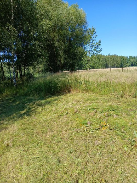 Koszenie traw, Wycinka drzew i krzewów, Sprzątanie podwórka