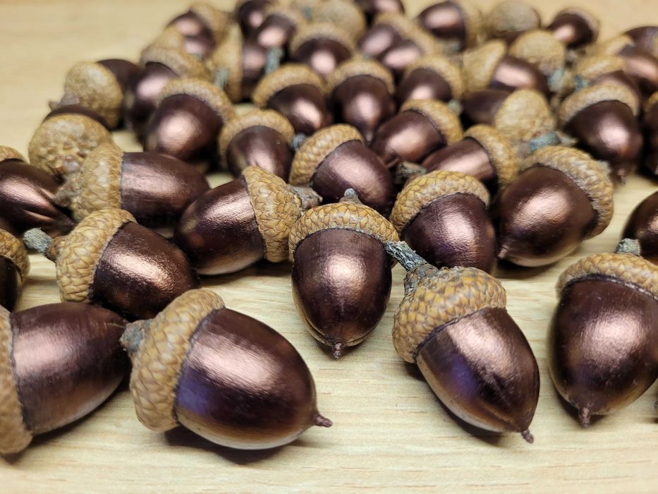 artykuły plastyczne dla dziecka do szkoły szyszki żołędzie