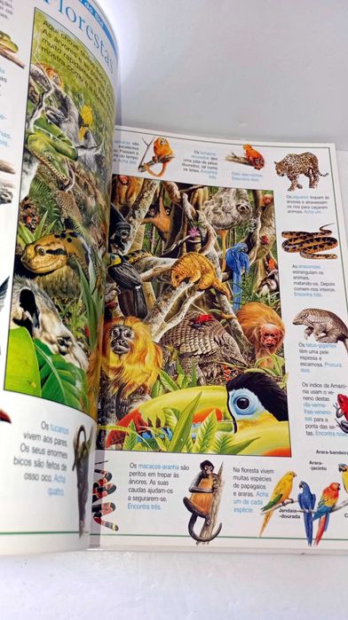 Expedição ao Mundo Animal