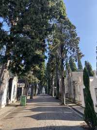 Jazigo Cemitério dos Prazeres