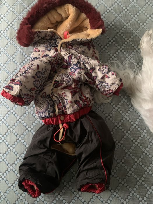 Комбінезон For My Dogs