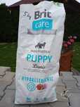 Karma sucha brit puppy z jagnięcina i ryż