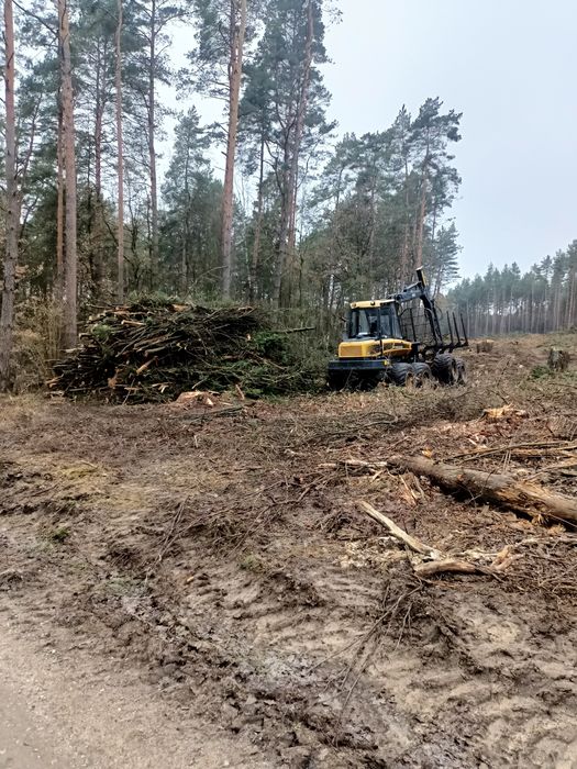 Usługi Leśne Pozyskanie