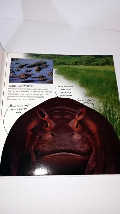 Os Incríveis Animais Selvagens Gigantes - RESERVADO
