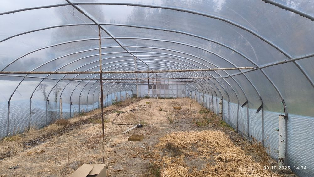 Sprzedam szklarnię