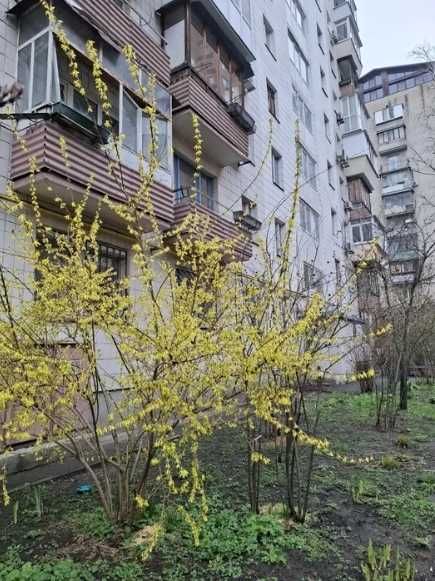 Продаж 2к 46 кв.м ЦЕНТР, Палац Україна, Євроремонт, Меблі та техніка