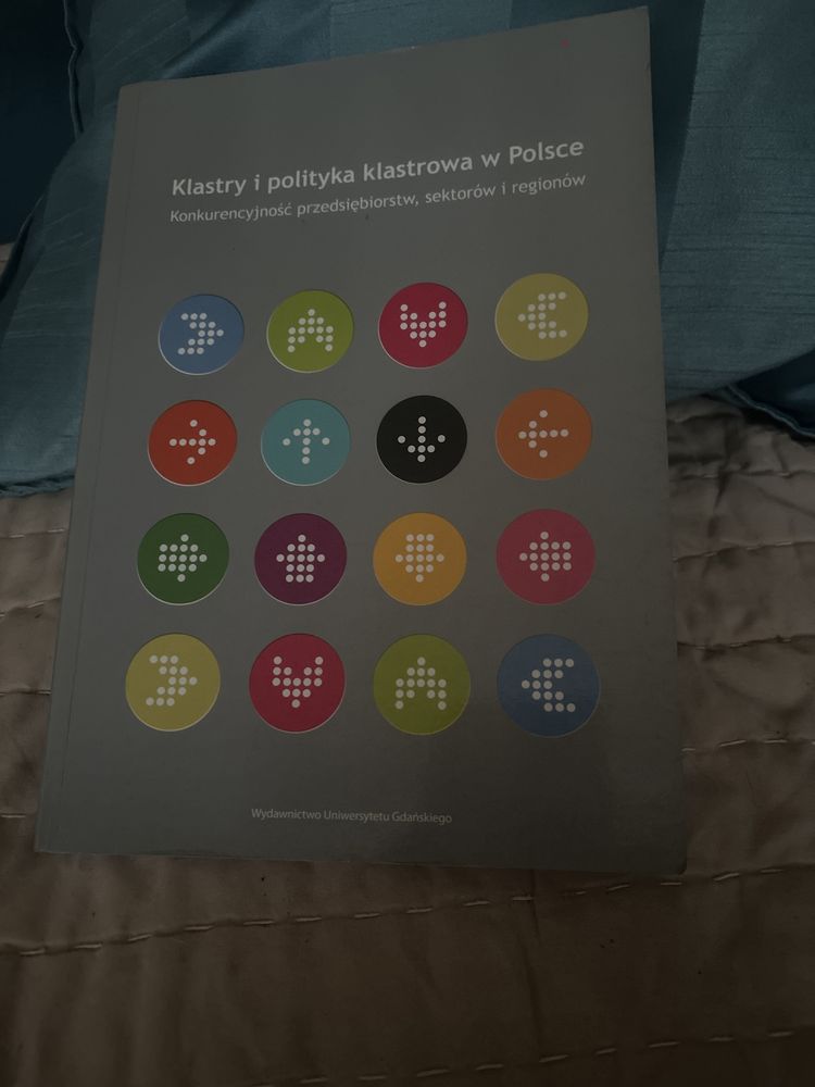 Klastry i polityka klastrowa w Polsce