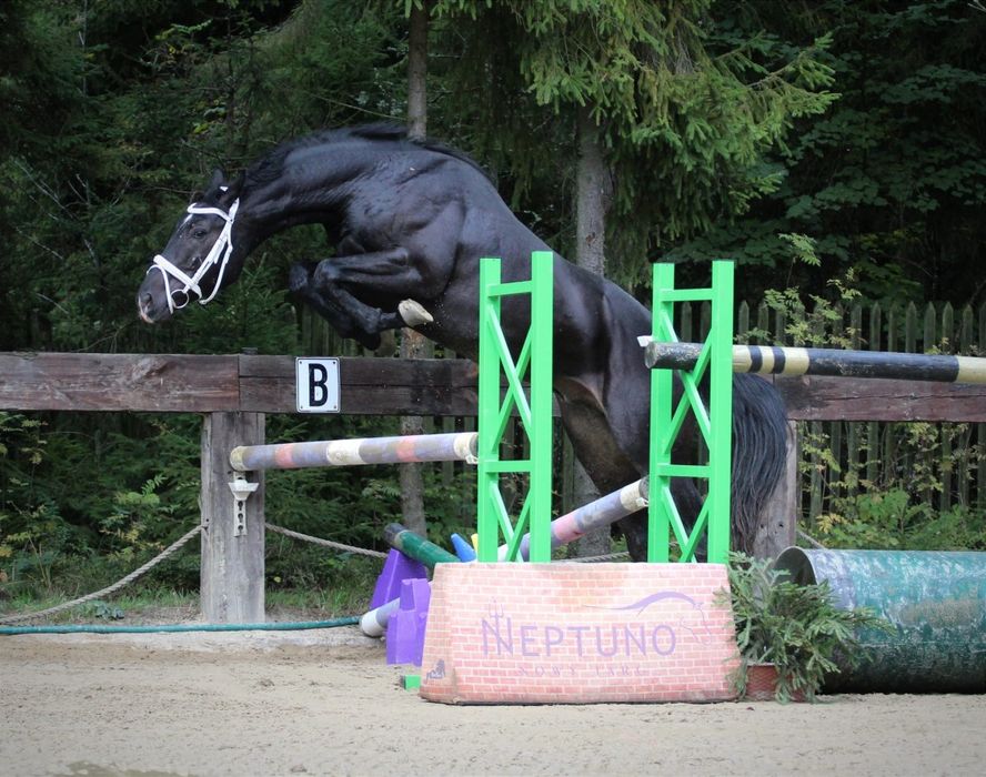 Kary przyszłościowy 3.5 latek