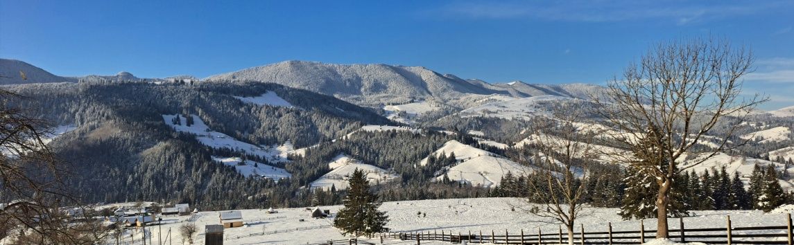 Відпочинок Карпати Верховина котеджі Лісова садиба