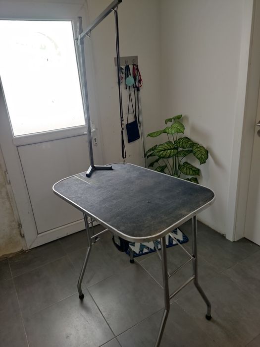 Mesa de tosa profissional portátil