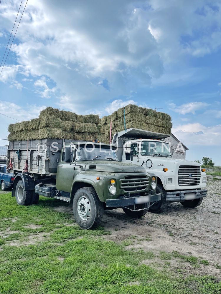 Сіно люцерни в квадратних тюках