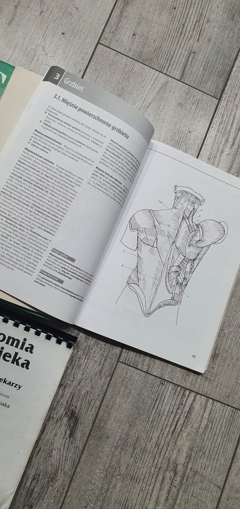 Atlas anatomiczny  Sobotta + podręcznik + ćwiczenia kolorowanka