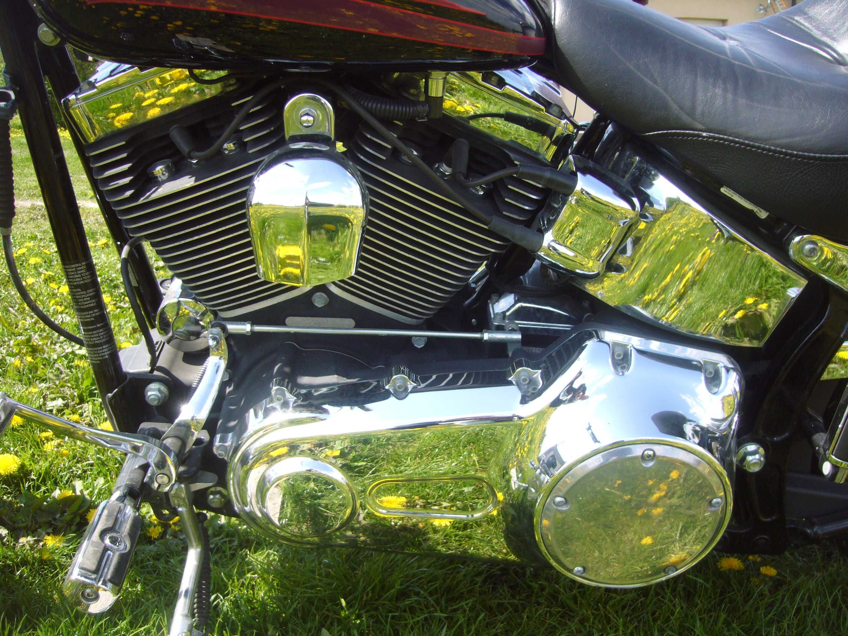 Harley Davidson Softail Custom.