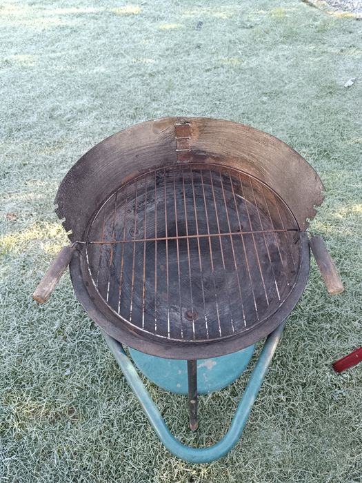 Grill na działkę , ryby 2 sztuki