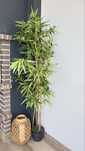 Planta artificial 170cm