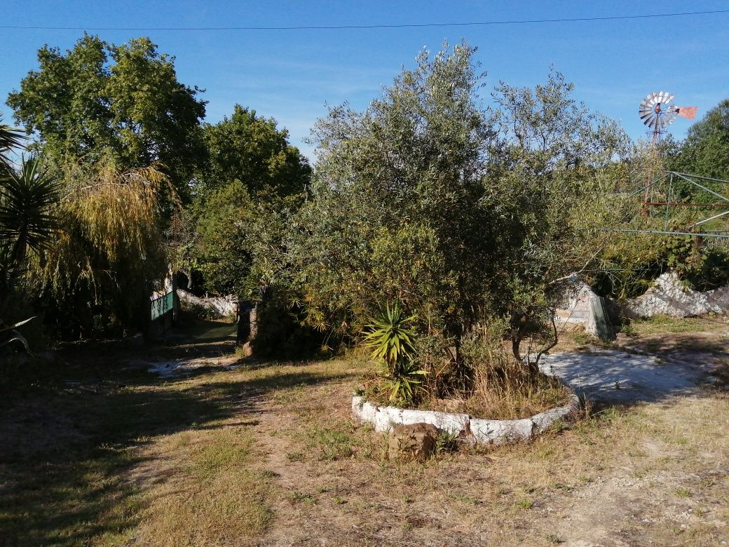 Terreno rústico com lagar e adega, por apartamento com vista de mar.